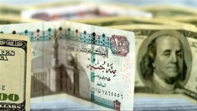 المركزي المصري يقرر تثبيت أسعار الفائدة 