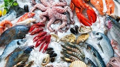  أسعار الأسماك والجمبري بمختلف أنواعها.. البلطي بكام النهاردة؟