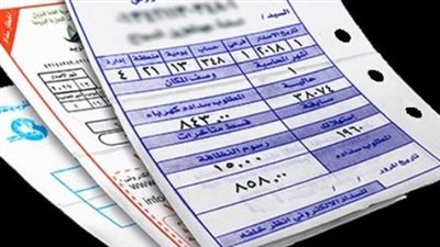 خطوات الاستعلام عن فاتورة الكهرباء برقم العداد 2025 في مصر 