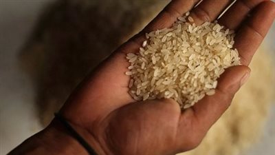 -سعر الأرز الشعير في السوق اليوم الأربعاء 4 يونيو 2025