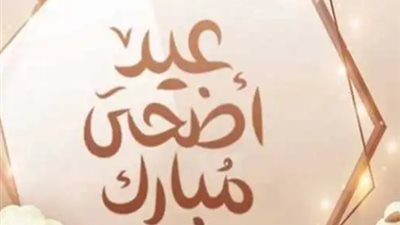 وقفة عرفات 2025.. طريقة تقسيم الأضحية