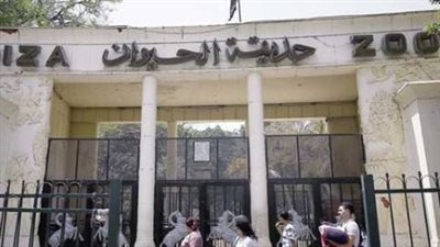 موعد افتتاح حديقة الحيوان بالجيزة 2025