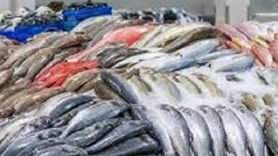 «يوم عرفة».. أسعار الأسماك والجمبري بمختلف أنواعها اليوم 5_6_ 2025