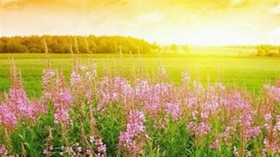 متى يبدأ فصل الصيف 2025 في مصر رسميا؟