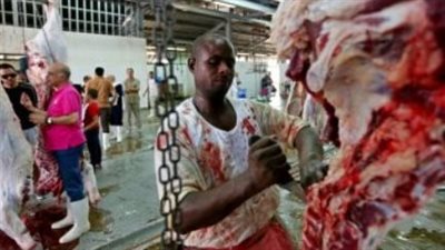 هل تصح صلاة الجزار في ملابس ملطخة بالدماء ؟.. دار الافتاء توضح