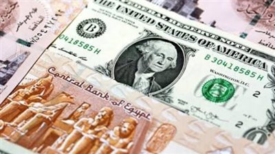 الدولار يستقر أمام الجنيه.. أسعار الجمعة 14-11-2025