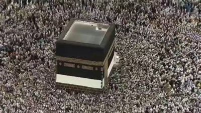 تفويج أسر الشهداء إلى المدينة.. مشهد مهيب بعد إتمام مناسك الحج (بث مباشر)