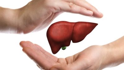 طرق تنظيف الكبد من السموم طبيعيًا.. أطعمة ونصائح طبية فعالة