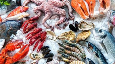 سعر السمك البلطي اليوم 14_6_2025