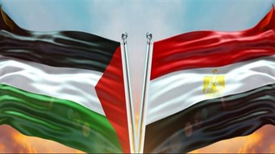 ما هي أبرز المعارك التي خاضتها الدولة المصرية دفاعًا عن القضية الفلسطينية؟