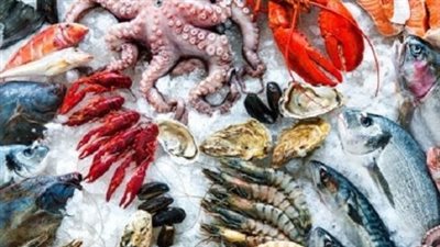 تباين أسعار الأسماك والجمبري اليوم الإثنين 16 يونيو 2025