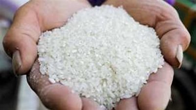 أسعار الأرز الشعير والأبيض اليوم 17_ 6_ 2025