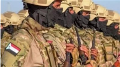 كيف تُثبت القوات المسلحة الجنوبية باليمن أنها صمام الأمان لمشروع التحرر؟