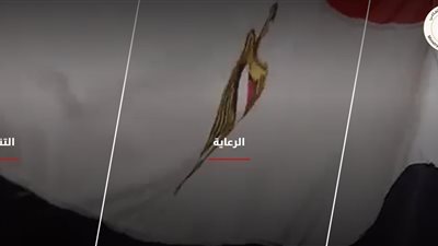 طريقة الاستعلام عن معاش تكافل وكرامة لشهر مايو 2025