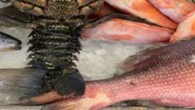  أسعار المأكولات البحرية اليوم 19_6_2025