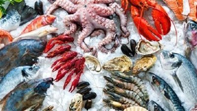 أسعار الأسماك والجمبري اليوم 21_6_2025