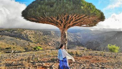 مع حلول الذكرى الخامسة لتحريرها.. كيف تجدد أرخبيل سقطرى في وجدان الجنوبيين ملامح الفخر والانتصار؟