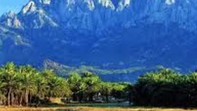 قبل خمس سنوات.. كيف سجّل أبناء أرخبيل سقطرى لحظة فارقة في التاريخ الجنوبي الحديث؟