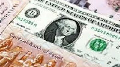 سعر الدولار أمام الجنيه المصري اليوم 24 يونيو 2025 بمختلف البنوك الحكومية والخاصة