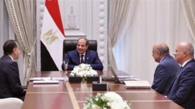 الرئيس السيسى يوجه بمُواصلة تحسين خدمات الكهرباء بجميع المحافظات