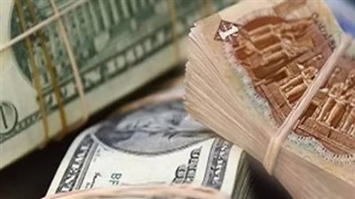 سعر العملة الخضراء اليوم الأربعاء 25 يونيو 2025