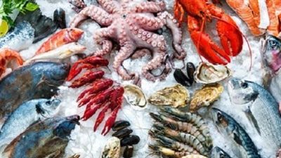  أسعار الأسماك والجمبري في صباح تعاملات اليوم الأربعاء 25 يونيو 2025