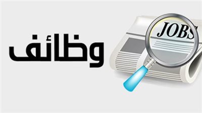 موعد فتح باب التقديم لوظائف قيادية في وزارة المالية.. الشروط