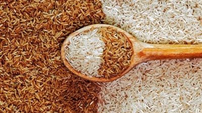 سعر طن الأرز الشعير اليوم السبت 28 يونيو 2025