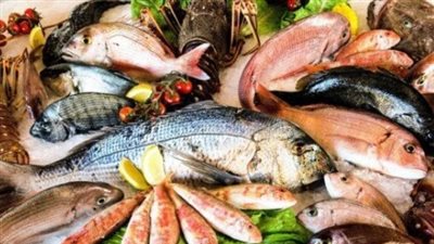  أسعار المأكولات البحرية بمختلف أنواعها في صباح تعاملات اليوم السبت 28 يونيو 2025