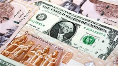 المركزى المصري: ارتفاع الاحتياطى النقدى إلى 49.03 مليار دولار فى نهاية يوليو