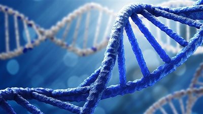 الأمراض الوراثية.. أنواعها وطرق الوقاية منها