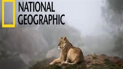 كيفية مشاهدة تردد قناة ناشيونال جيوغرافيك 2025 National Geographic Channel أبو ظبي