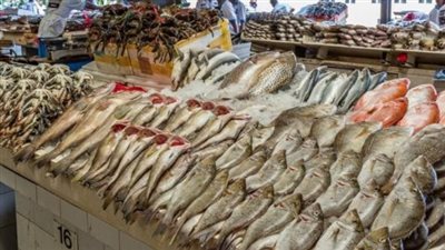 أسعار الأسماك والجمبري اليوم الأربعاء 2 يوليو 2025.. السمك الكبير بكام؟