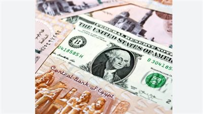 البنك المركزى: تحويلات قياسية للمصريين بالخارج بلغت 36.5 مليار دولار خلال عام