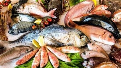 سعر السمك البلطي اليوم الخميس 3 يوليو 2025