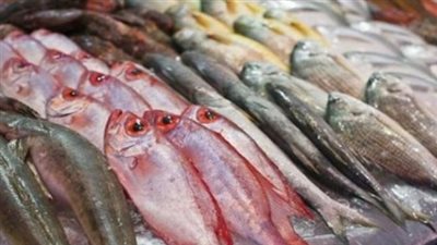 أسعار الأسماك والجمبري اليوم السبت 5 يوليو 2025 داخل سوق العبور والأسواق المختلفة