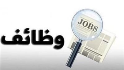 وظائف وزارة العمل.. الشروط والتخصصات