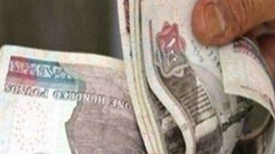 متى يبدأ تطبيق قرار ترقية الموظفين؟.. الفئات التي تشملها الترقيات