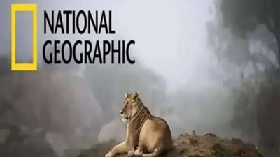 لعشاق ومحبي الطبيعة الخلابة.. تردد قناة ناشيونال جيوغرافيك على القمر الصناعي نايل سات 2025