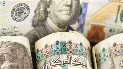  أسعار الدولار في مصر اليوم الثلاثاء 8-7-2025.. بكام النهاردة؟