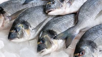  أسعار الأسماك والجمبري بمختلف أنواعها اليوم 9_7_ 2025