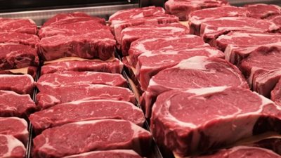 أسعار اللحوم اليوم الأربعاء 9 يوليو 2025.. سعر الكبدة البلدي ما بين 300 و350 جنيهًا