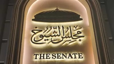 الكشوف المبدئية لمرشحي انتخابات مجلس الشيوخ 2025.. الهيئة الوطنية للانتخابات تعلن التفاصيل الرسمية