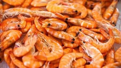 سعر السمك والجمبري اليوم 7_7_2025