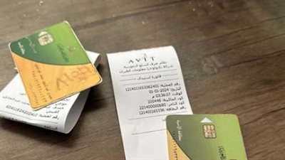 أضف مواليدك الآن بطريقة سهلة وميسرة عبر منصة مصر الرقمية لعام 2025