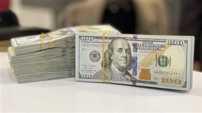 الدولار يسجل هذا السعر في مصر.. مؤشرات تدعو للتفاؤل