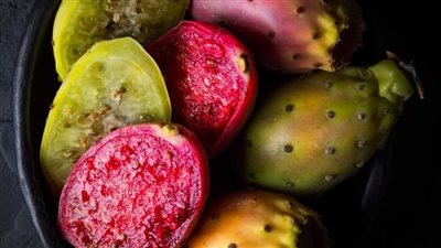 احترس.. علماء يحذرون من تناول التين الشوكي رغم فوائده الكبيرة!