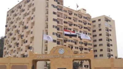 الجهاز المركزي للتنظيم والإدارة استعلام.. مثال تطبيقي لتوضيح أهمية النظام الجديد