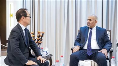 لقاءات الزُبيدي مع السفراء.. تحركات دبلوماسية تعزز الشراكة وتدعم الاستقرار