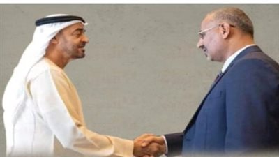 الجنوب والإمارات.. علاقة راسخة وتحالف استراتيجي